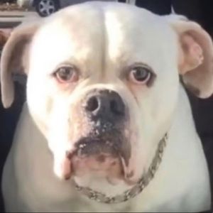 Meet your Posher, Erik